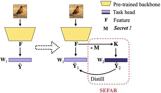 Regularization for Fine-tuning